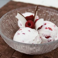 Coconut Raspberry Ice Cream (vegan)